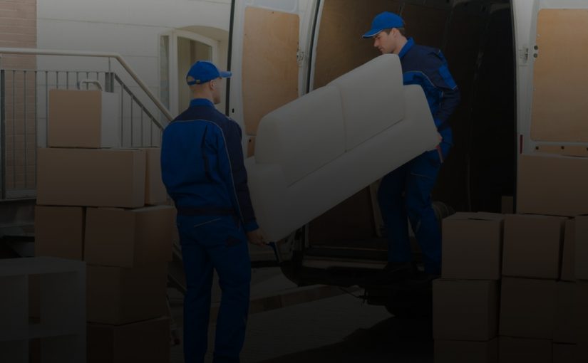 A Guide From Gold Coast Removalist on House Move With Plants!