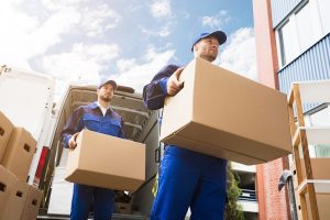 Removalists Pimpama